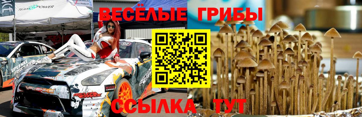 Псилоцибиновые грибы Psilocybe  Вход с VPN  Троицк 